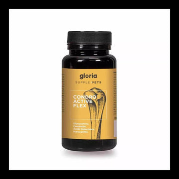 Gloria Supple Pets_CONDRO ACTIVE FLEX_Razas grandes y medianas